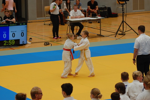 Westfalen-Cup 2025 Juni